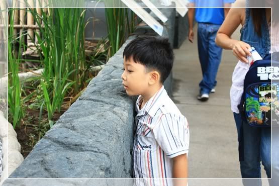 เที่ยวเชียงใหม่ 53