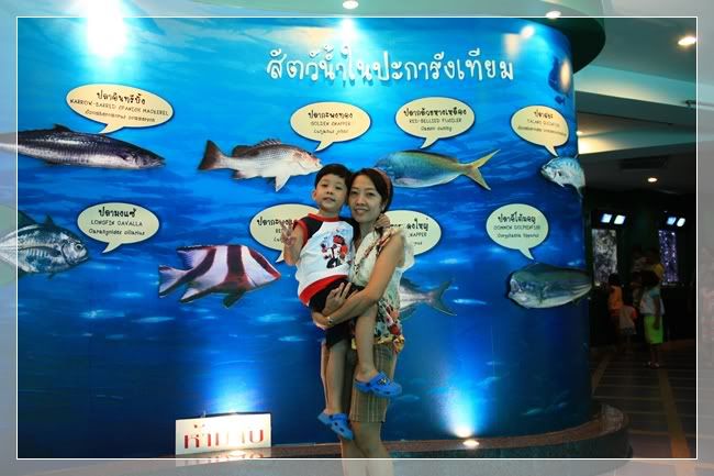 เที่ยวระยอง Rock garden beach resort