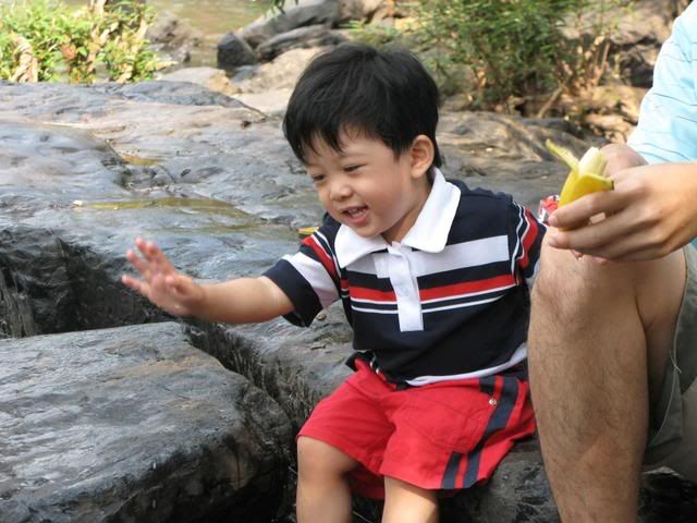 สุขสันต์วันปีใหม่2008
