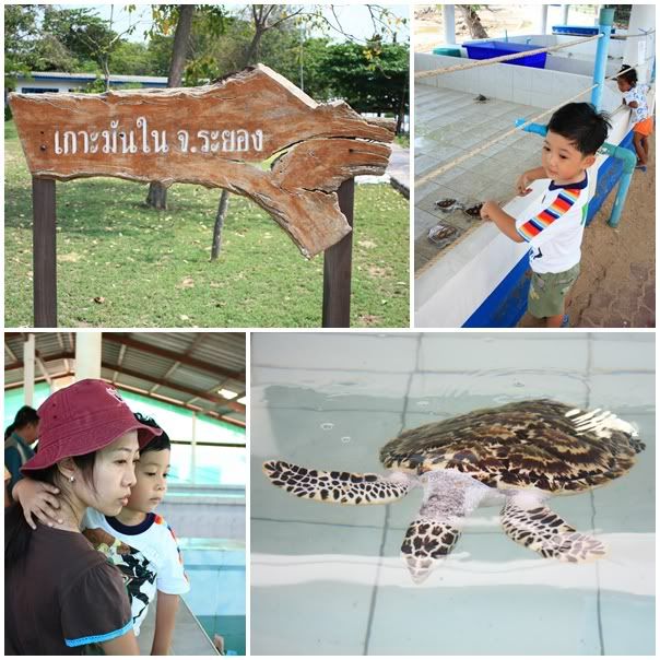 เที่ยวระยอง Rock garden beach resort