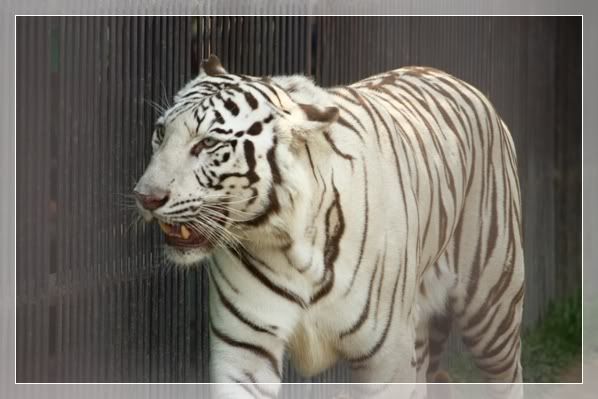 ทริปสุพรรณครั้งที่3 ภาค1
