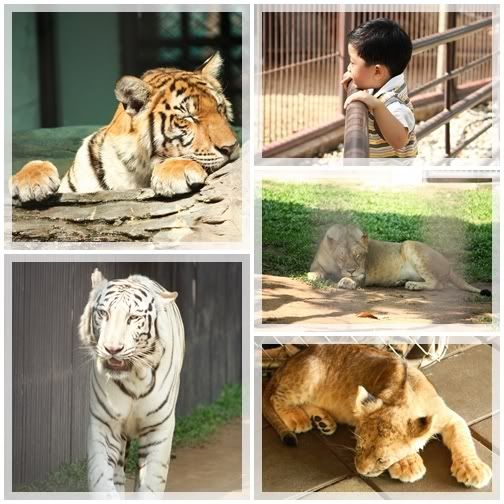 ทริปสุพรรณครั้งที่3 ภาค1