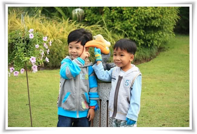 สระบุรี ฟาร์ม ชคชัย เขาใหญ่ 2