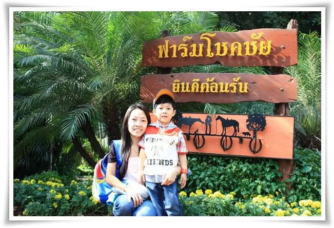 สระบุรี ฟาร์ม ชคชัย เขาใหญ่ 2