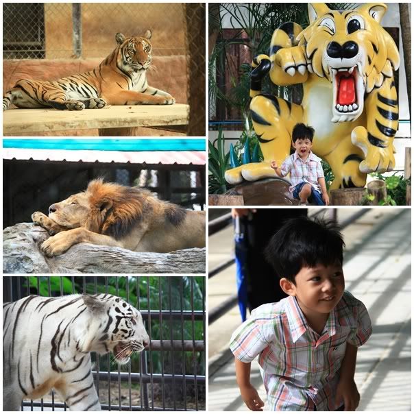 เที่ยวสุพรรณ2