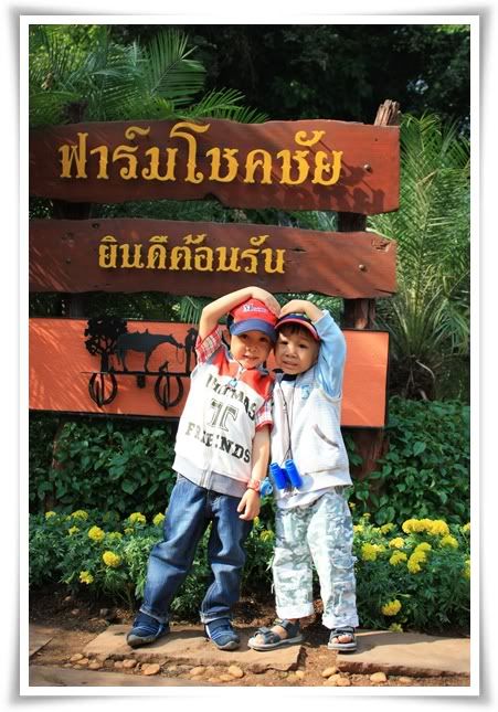 สระบุรี ฟาร์ม ชคชัย เขาใหญ่ 2