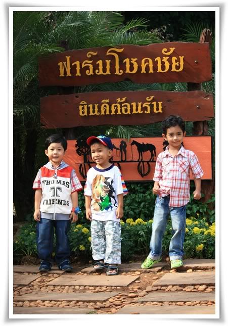 สระบุรี ฟาร์ม ชคชัย เขาใหญ่ 2