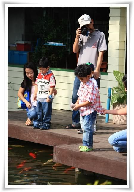 สระบุรี ฟาร์ม ชคชัย เขาใหญ่ 2