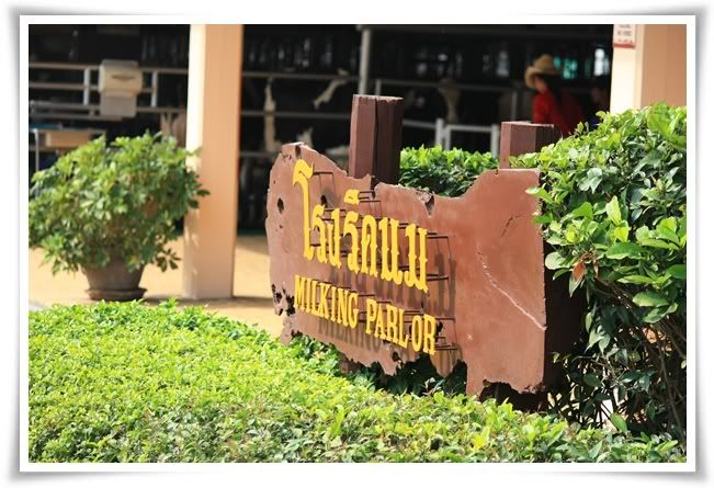 สระบุรี ฟาร์ม ชคชัย เขาใหญ่ 2