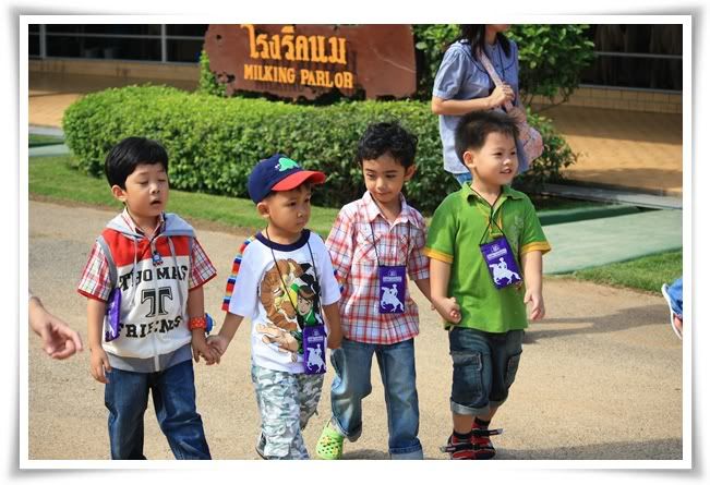สระบุรี ฟาร์ม ชคชัย เขาใหญ่ 2