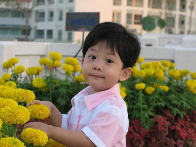 สุขสันต์วันปีใหม่2008