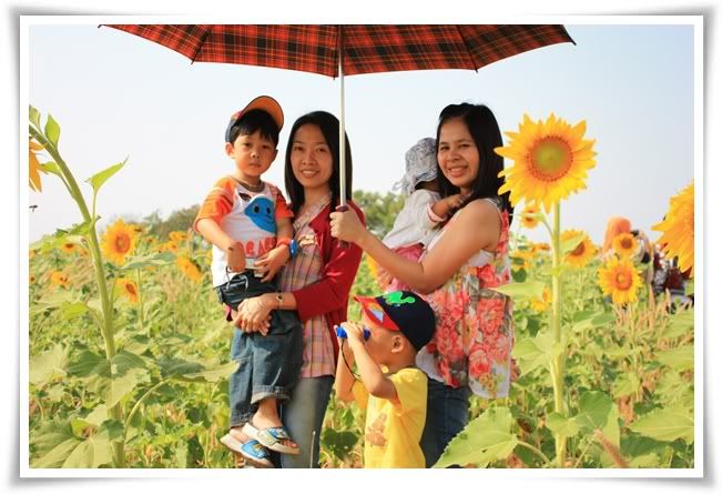 10 12สระบุรี ฟาร์ม ชคชัย เขาใหญ่ 1