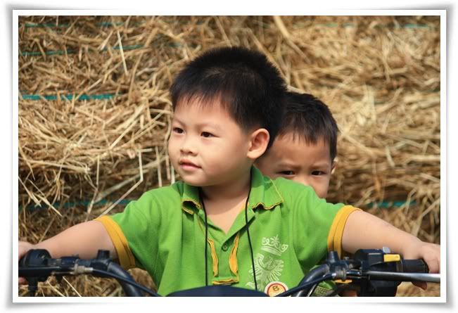 สระบุรี ฟาร์ม ชคชัย เขาใหญ่ 2