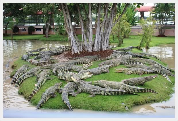 เที่ยวสุพรรณ2
