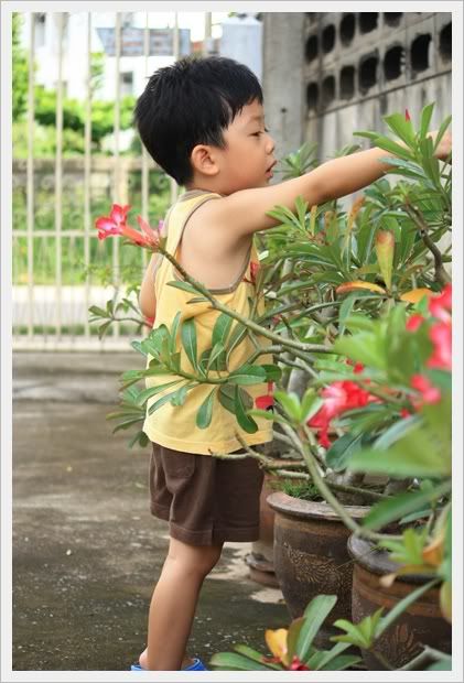 อยู่แต่บ้าน