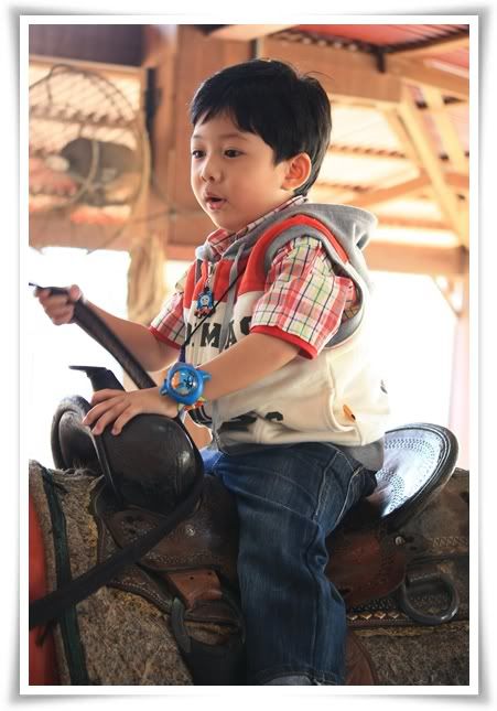 สระบุรี ฟาร์ม ชคชัย เขาใหญ่ 2
