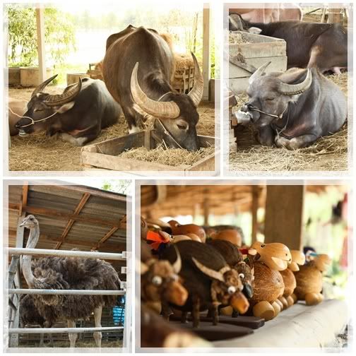 ทริปสุพรรณ ต่อ ภาค2