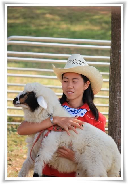 สระบุรี ฟาร์ม ชคชัย เขาใหญ่ 2