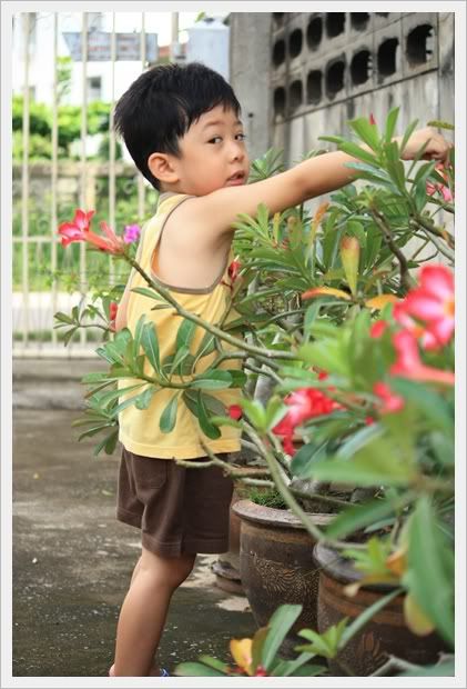อยู่แต่บ้าน