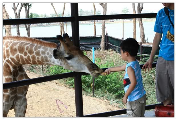 บึงฉวาก ท่าจีนริเวอร์ ฮม ต่อ