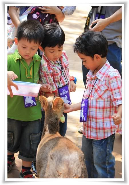 สระบุรี ฟาร์ม ชคชัย เขาใหญ่ 2