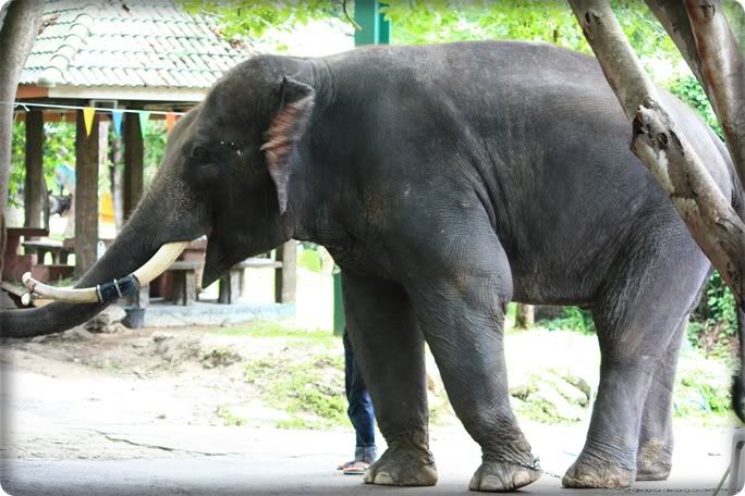 เที่ยวเชียงใหม่