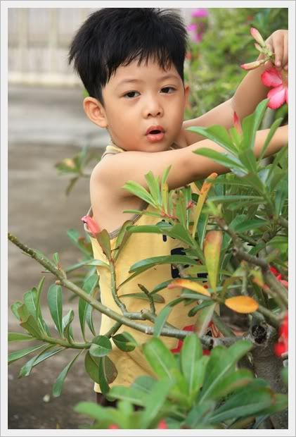 อยู่แต่บ้าน