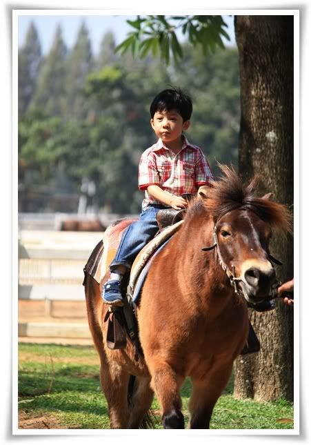 สระบุรี ฟาร์ม ชคชัย เขาใหญ่ 2