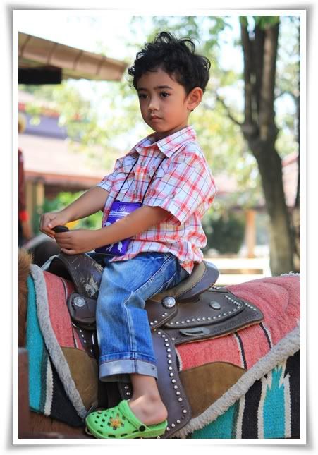 สระบุรี ฟาร์ม ชคชัย เขาใหญ่ 2
