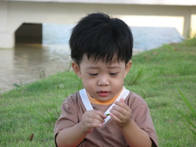 ไดอารี่ ออฟ เดอะ มั้นท์
