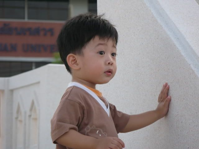ไดอารี่ ออฟ เดอะ มั้นท์