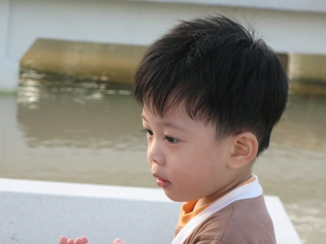 ไดอารี่ ออฟ เดอะ มั้นท์