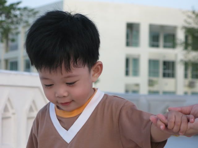 ไดอารี่ ออฟ เดอะ มั้นท์