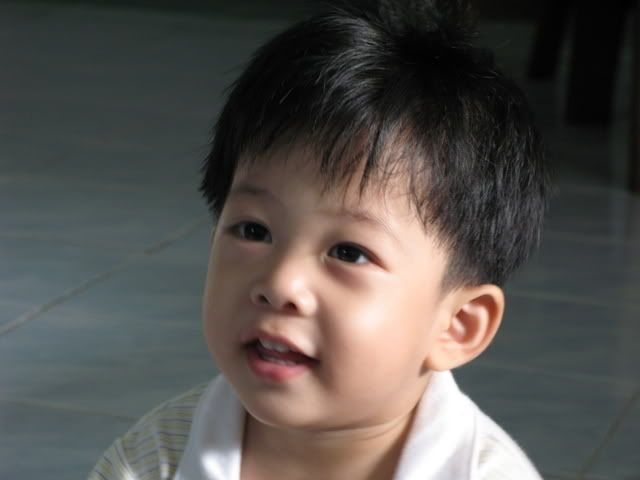 ไดอารี่ ออฟ เดอะ มั้นท์