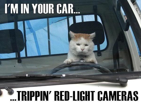 Trippin Red Light Cams