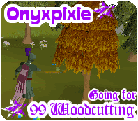 Onyxpixie499wc.gif