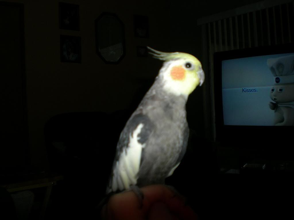 User Image