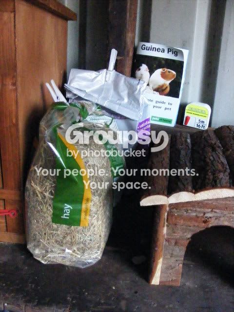 shed009.jpg