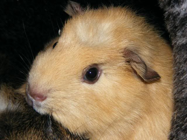 wilfandarchie017.jpg