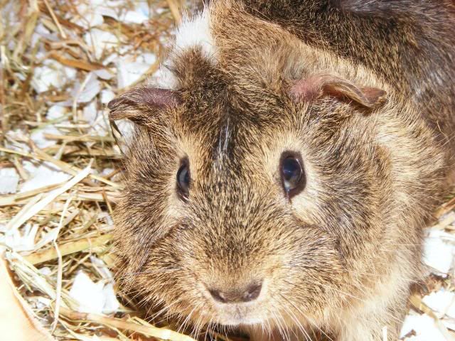 wilfandarchie027.jpg