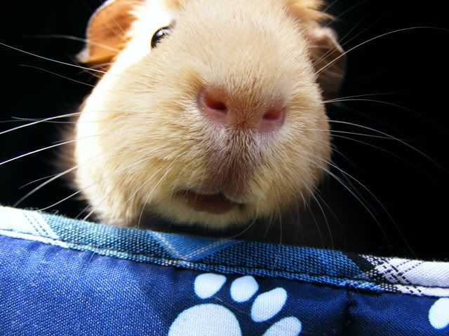 riverpeegs030.jpg