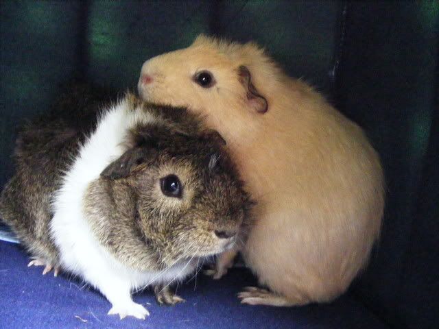 riverpeegs047.jpg