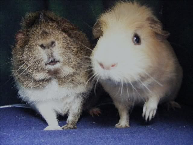 riverpeegs049.jpg